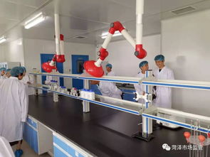 市市場監管局與開發區局共啟“透明工廠”體驗日，筑牢餐飲安全“前哨站”